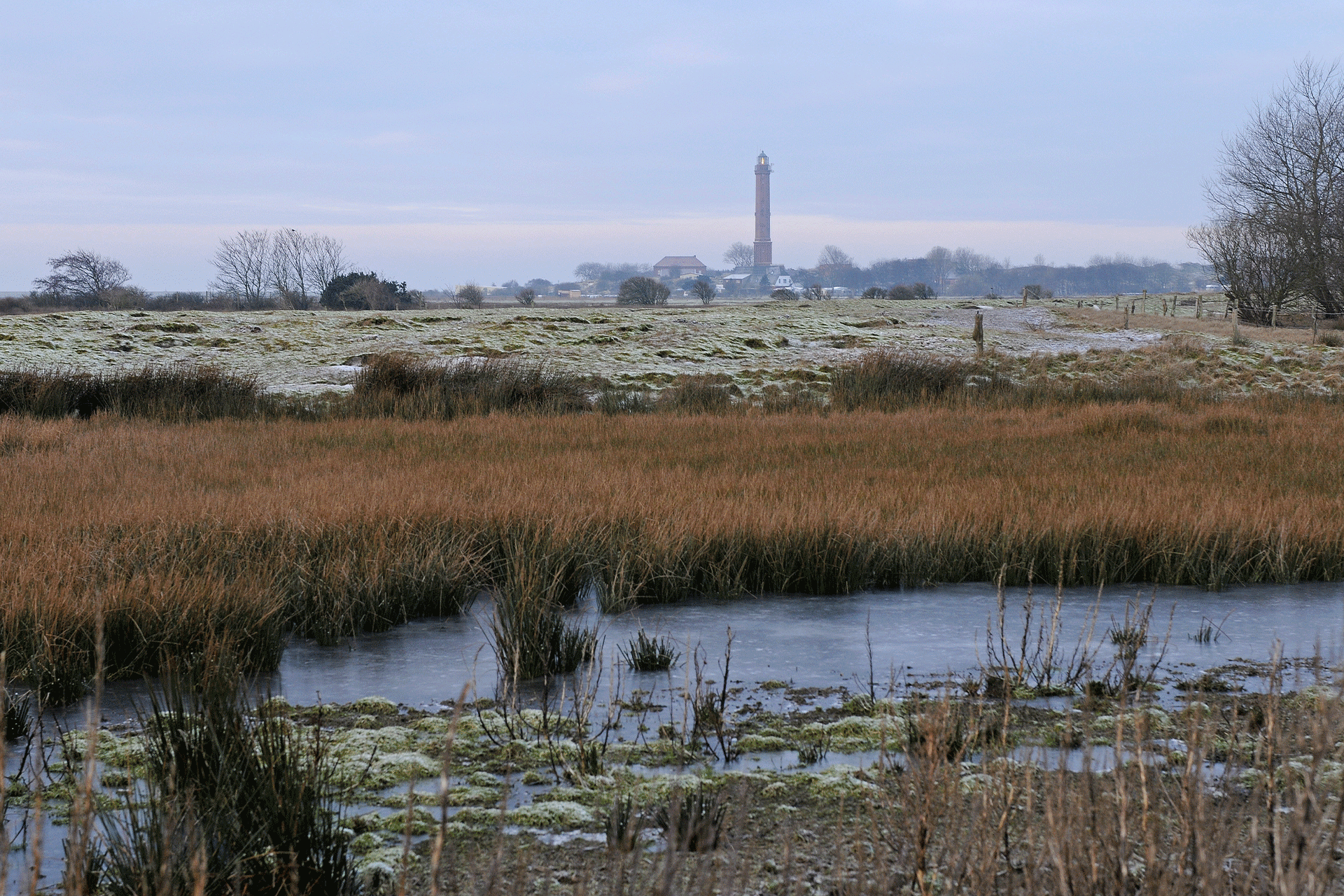 Winter auf Norderney, Frost auf der Insel, Blick über leicht verschneite Wiesen